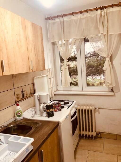 Nice Apt Near Spitalul Judetean, All You Need Lr14 Timisoara Esterno foto