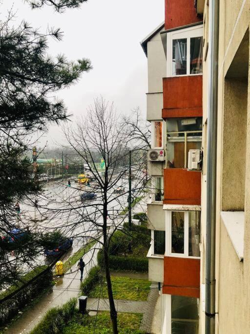 Nice Apt Near Spitalul Judetean, All You Need Lr14 Timisoara Esterno foto