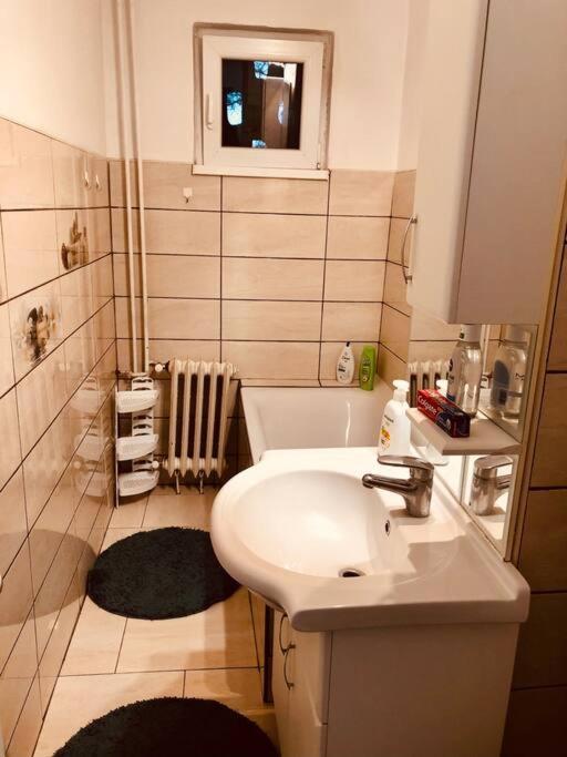 Nice Apt Near Spitalul Judetean, All You Need Lr14 Timisoara Esterno foto
