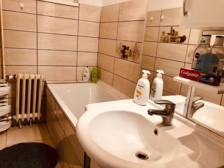 Nice Apt Near Spitalul Judetean, All You Need Lr14 Timisoara Esterno foto
