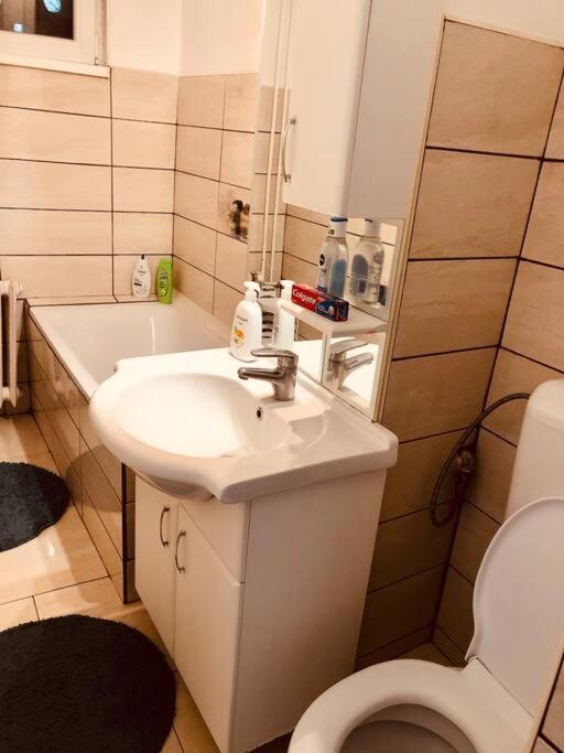 Nice Apt Near Spitalul Judetean, All You Need Lr14 Timisoara Esterno foto