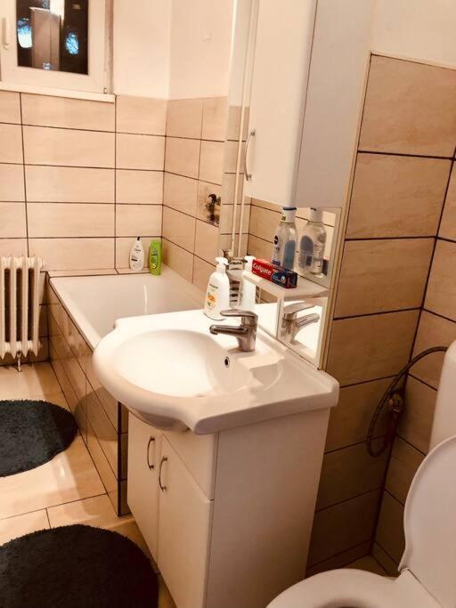 Nice Apt Near Spitalul Judetean, All You Need Lr14 Timisoara Esterno foto