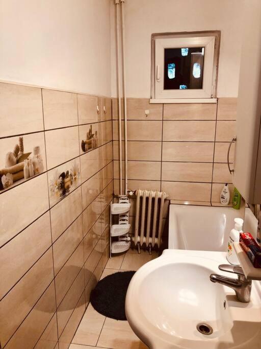 Nice Apt Near Spitalul Judetean, All You Need Lr14 Timisoara Esterno foto